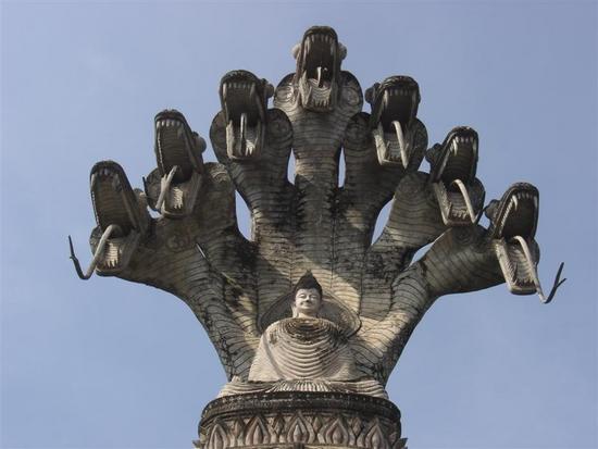 Mucalinda _ buddha 7 serpi