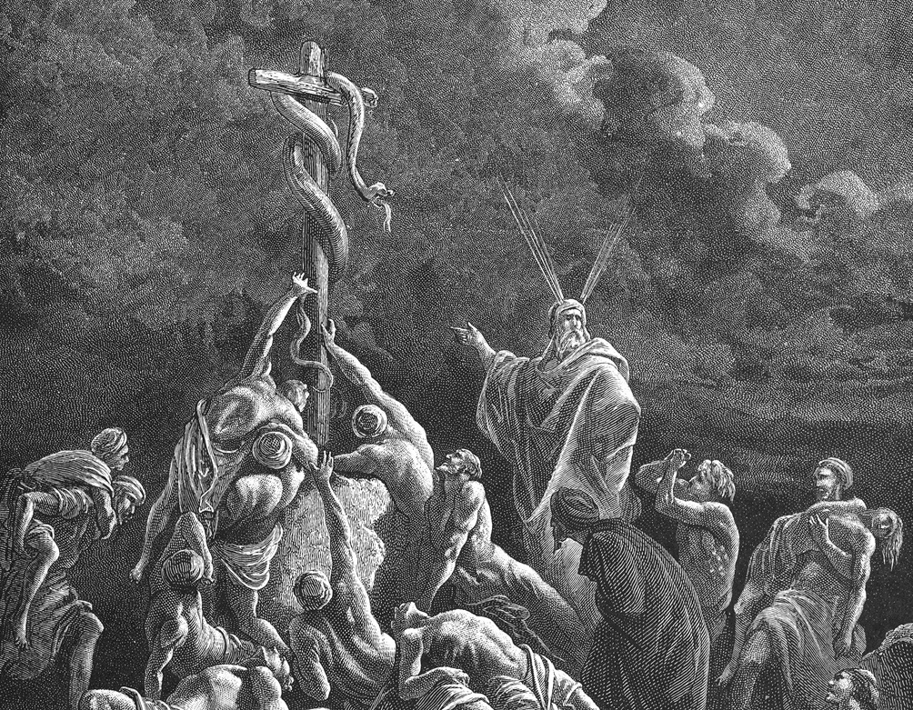 moise sarpe in desert